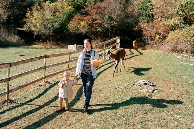 La madre lleva a una niña por la mano a través de un rancho con llamas que llevan un cuenco de verduras