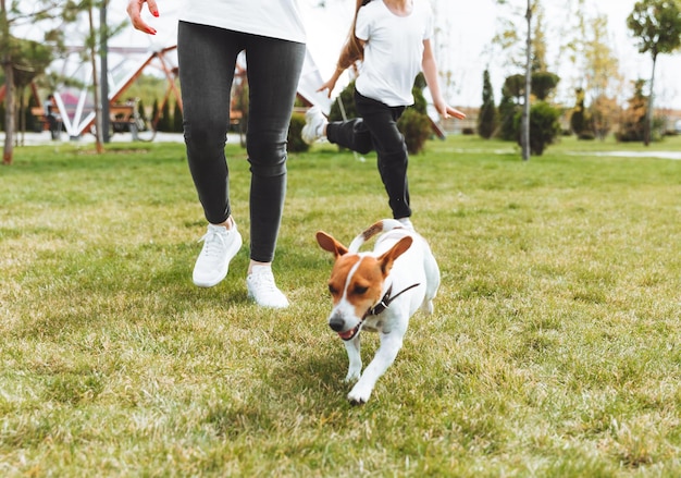 Una madre con un niño y un perro Jack Russell terrier están caminando juntos en el parque una mujer y una niña están paseando a su perro