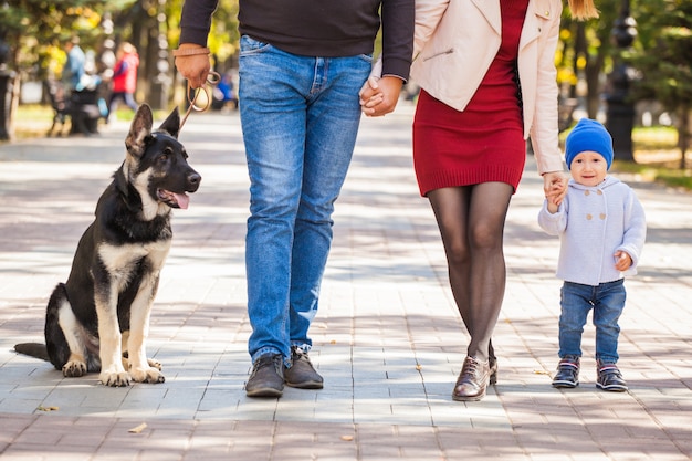 Madre, padre e hijo en un paseo por el parque.