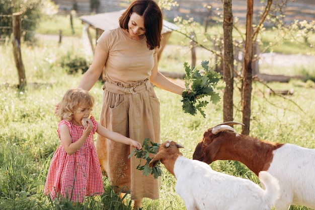 Una madre y su hermosa y rizada hija pastan cabras en una granja ecológica