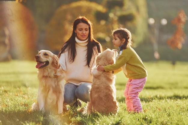 Madre con su hija ha caminado con dos perros Golden Retriever en el parque