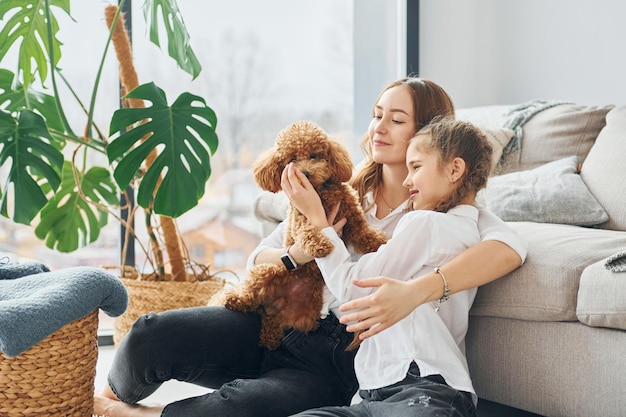 Foto madre con su hija jugando con el perro lindo cachorrito de caniche está en el interior de la habitación doméstica moderna