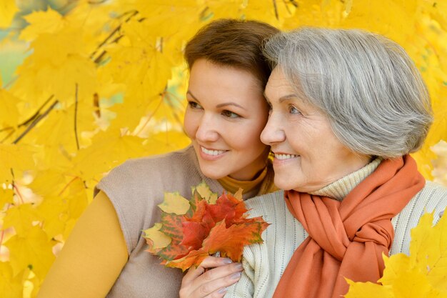 Madre y su linda hija en el parque otoño