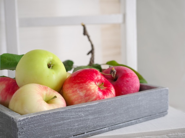 maduras, fragantes manzanas rojo-verdes en una caja gris de madera sobre una silla blanca