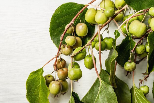 Maduro Actinidia arguta ou kiwi em fundo branco de madeira. Ramos de frutas frescas com folhas verdes