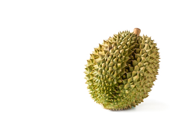 Maduro Monthong Durian fruto aislado en superficie blanca, rey de frutas en Tailandia