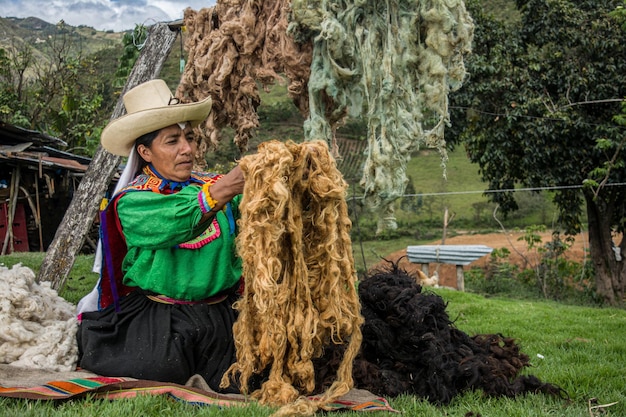 Mãe andina latino-americana secando lã colorida para a técnica inca de tecelagem peruana