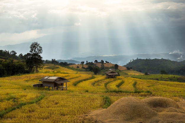 Mae Chaem Fields na colina