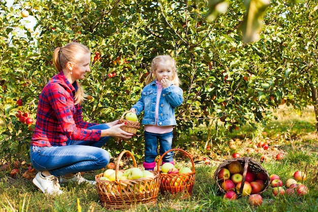 Mãe com filho bonito no pomar de maçãs com árvores verdes com cesta