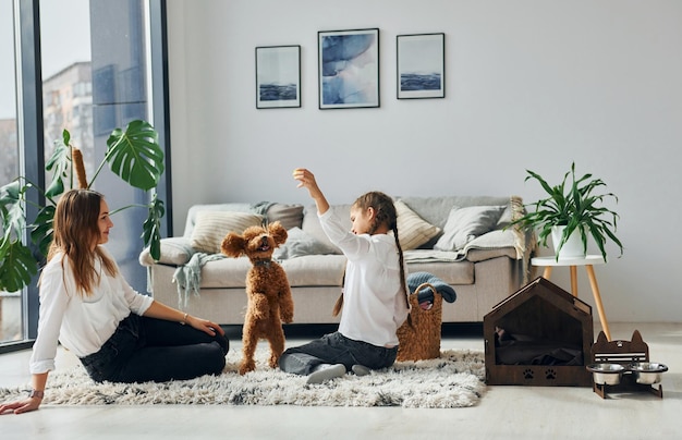 Mãe com sua filha brincando com cachorro lindo cachorrinho poodle está dentro de casa na moderna sala doméstica