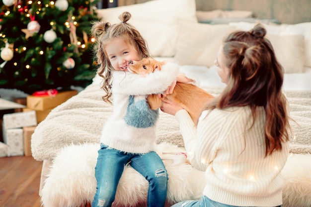 Mãe dá cachorro para filha na véspera de ano novo, família amorosa na sala