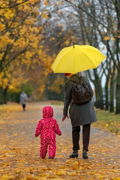 Mãe e bebê estão andando sob o guarda-chuva ao longo do beco do parque de outono Vista traseira Quadro vertical