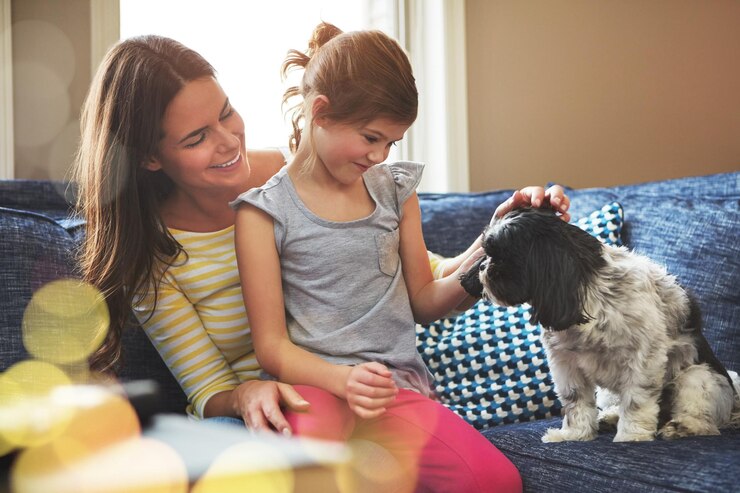 Foto mãe e cachorro no sofá com sorriso para a relação confiança e apoio para o cuidado dos animais em casa criança feliz mulher e maltês no sofá de salão para a conexão de amor e ligação juntos com o arranhão