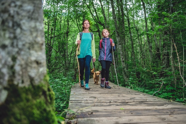 Mãe e filha com um cachorro, caminhadas na floresta