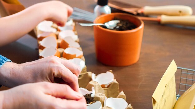 Mãe e filha iniciando sementes em cascas de ovos para plantio de primavera.