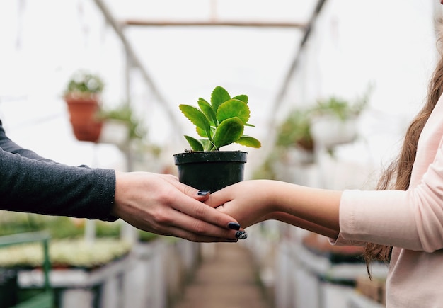 Mãe e filha segurando planta