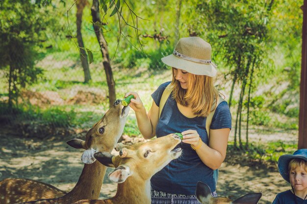 Foto mãe e filho alimentando lindos cervos em um zoológico tropical