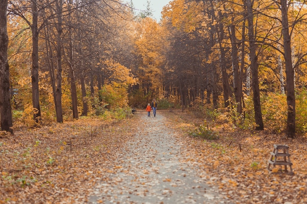 Mãe e filho caminhando no parque outono e apreciando a bela natureza do outono. Temporada, conceito de mãe solteira e filhos.