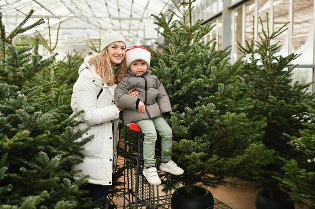 Foto mãe e filho compram uma árvore de natal no mercado