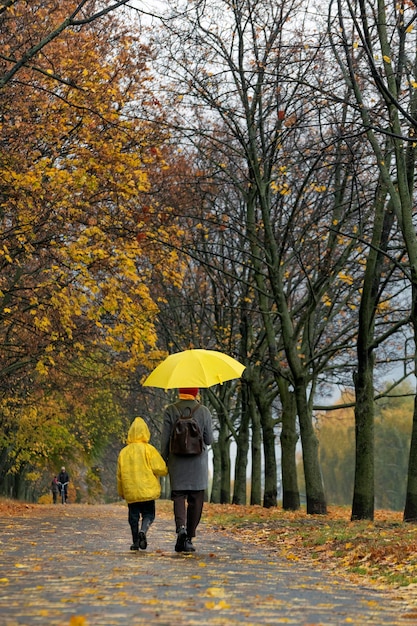 Mãe e filho em capa de chuva amarela estão andando pelo beco do parque outono sob guarda-chuva amarelo Vista traseira Quadro vertical