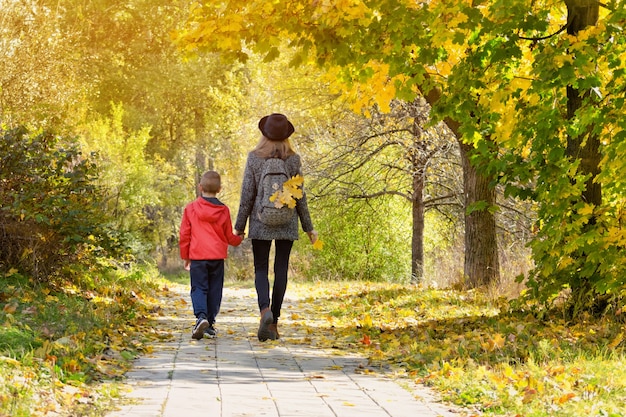 Mãe e filho estão caminhando na floresta de outono. Vista de trás