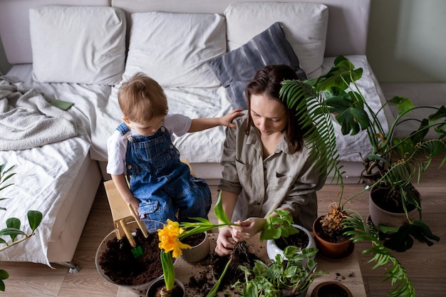 Mãe e filho estão transplantando plantas de casa juntos