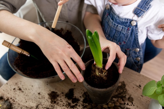 Mãe e filho estão transplantando plantas de casa juntos