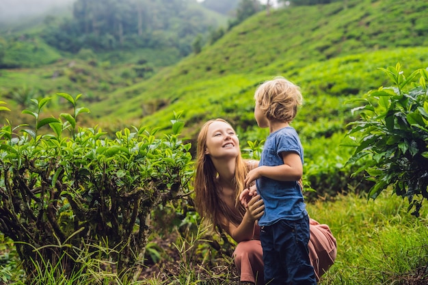 Mãe e filho estão viajando em uma plantação de chá na Malásia. Viajar com o conceito de crianças