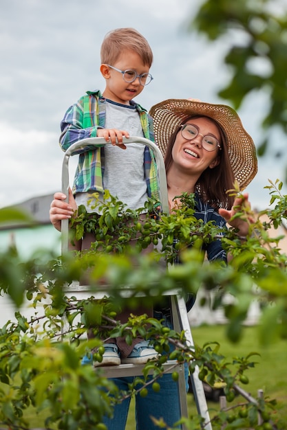 Mãe e filho na árvore da escada, jardinagem no jardim dos fundos