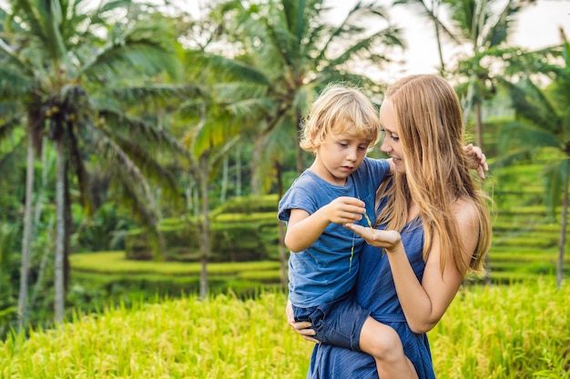 Mãe e filho no campo de arroz no fundo dos terraços de arroz, Ubud, Bali, Indonésia. Viajando com o conceito de crianças. Ensinando as crianças na prática