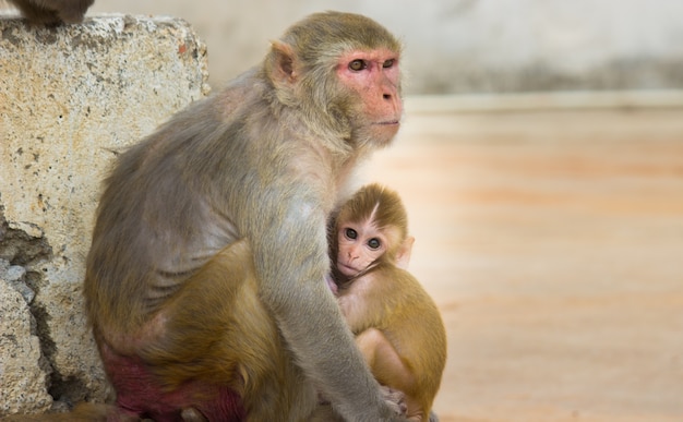 Mãe e filho