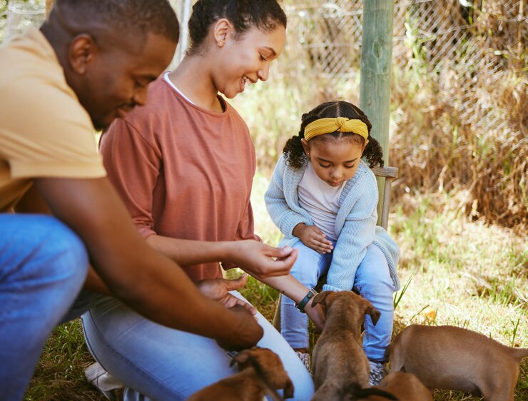 Foto mãe e pai de família negra com filhotes e brincalhões juntos ao ar livre, pais afro-americanos e com animais de estimação para adoção, felizes e unidos na fazenda pela felicidade e no abrigo
