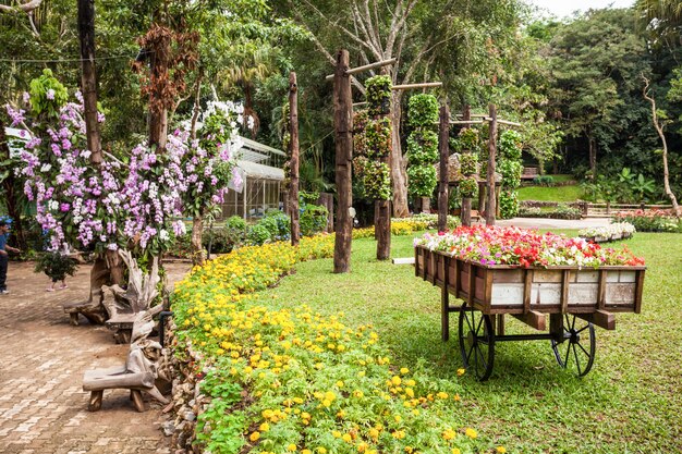 MAE FA LUANG, TAILANDIA - 4 DE NOVIEMBRE DE 2014: Jardín de Mae Fah Luang, Tailandia del norte.