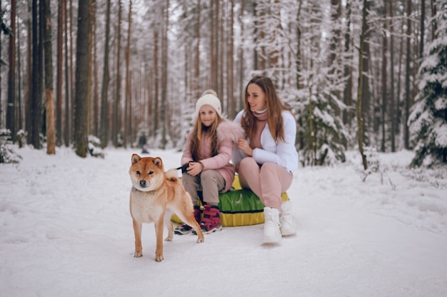 Mãe feliz e uma garotinha linda em uma roupa rosa quente caminhando se divertindo em um tubo de neve inflável com um cachorro shiba inu vermelho em uma floresta de inverno frio branco nevado ao ar livre