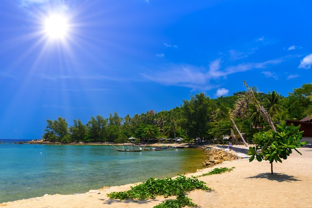 Mae Haad Beach Koh Phangan ilha Suratthani Tailândia