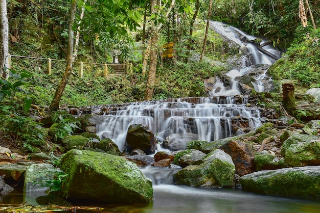 Mae Kampong Wasserfall in Chiang Mai