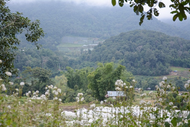 Mae Klang Luang em Chiang Mai, Tailândia