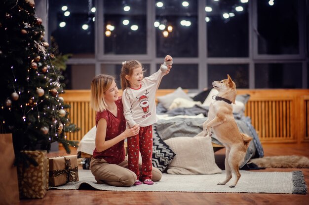 Mãe loira feliz segurando sua filha séria de pijama sentada no carpete perto da cama cinza, olhando para a árvore de natal com luzes e presentes em frente a grandes janelas noturnas