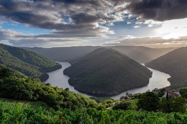 Foto mäander des flusses mino umgeben von weinbergen und weingütern in der ribeira sacra lugo galicia