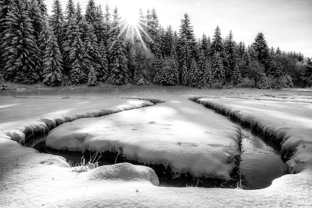 Mäandernde Strömung des Gebirgsbaches im verschneiten Winterland Liptovska Luzna in der Slowakei