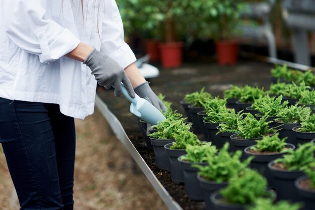 Mädchen arbeitet. Nahaufnahme der Hände in Handschuhen, die mit den Pflanzen in den Töpfen arbeiten.