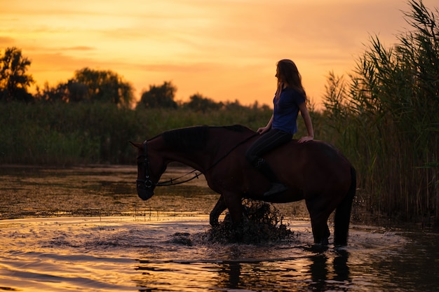 Mädchen auf einem Pferd am Sonnenuntergang