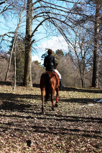 Mädchen auf einem Pferd