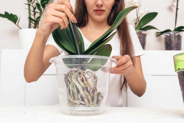 Mädchen, das Blumen in einen transparenten Topf pflanzt