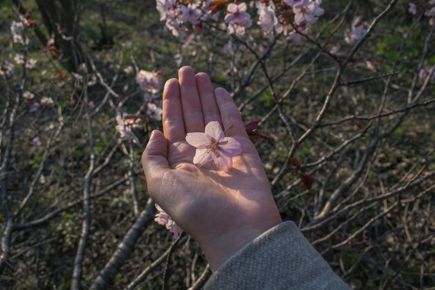 Mädchen, das eine kleine rosa Blume hält