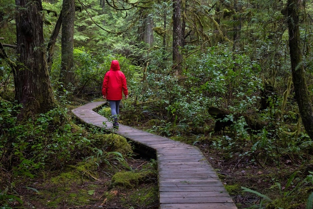 Mädchen, das eine leuchtend rote Jacke trägt, geht an einem lebhaften Wintermorgen durch den Wald