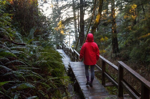 Mädchen, das eine leuchtend rote Jacke trägt, geht an einem lebhaften Wintermorgen durch den Wald