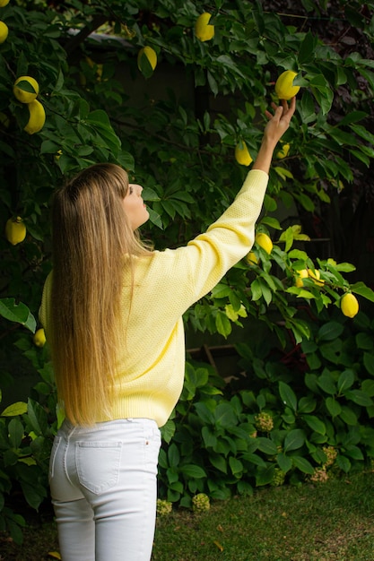 Mädchen, das Zitronen im Garten auswählt