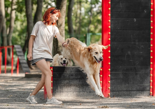 Mädchen, das zwei Golden Retriever-Hunde im Park ausbildet. Weiblicher Teenager mit reinrassigen Haustieren, die draußen spielen