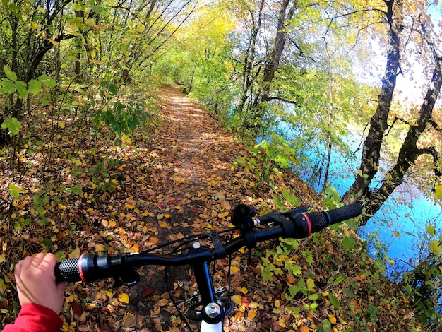 Mädchen fährt Fahrrad durch den Wald. Mädchen reitet im Herbst mit Sonnenlicht auf dem Weg im Wald. POV Action-Kamera Go Pro. Konzept Abenteuer aktiver Lebensstil Sport. Ansicht aus der First-Person-Perspektive